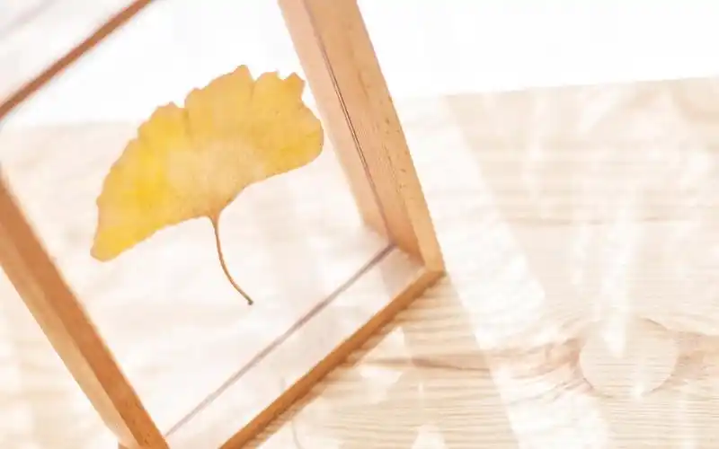 文艺小清新室内唯美静物高清图片壁纸