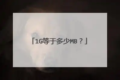 1g等于多少mb?