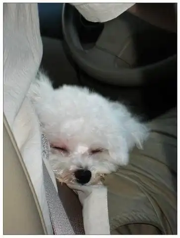 我爱趴趴走 - 野柳 @ lovewasabi的相簿 :: 痞客邦 pixnet