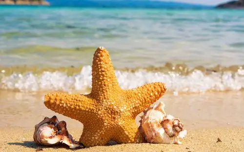 清凉唯美海滩夏日风光桌面壁纸