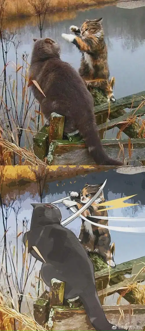 当动物二次元化.也太可爱了