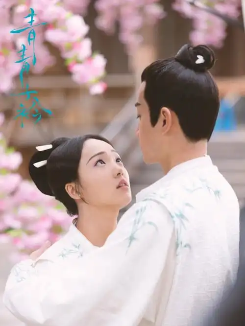 这部剧你看过吗古装校园