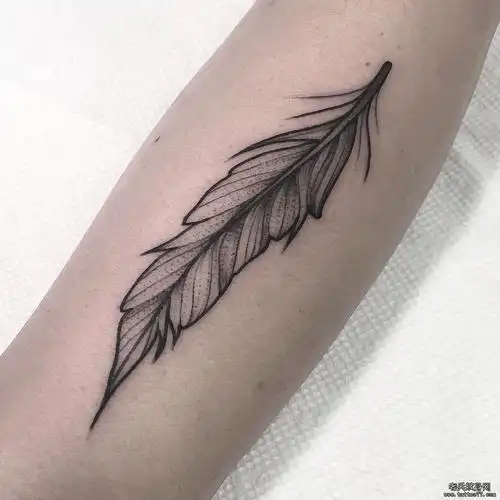 小臂羽毛点刺个性纹身图案