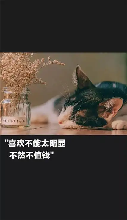 抖音网红歌词手机壁纸图片抖音歌词壁纸高清无水印最近很火