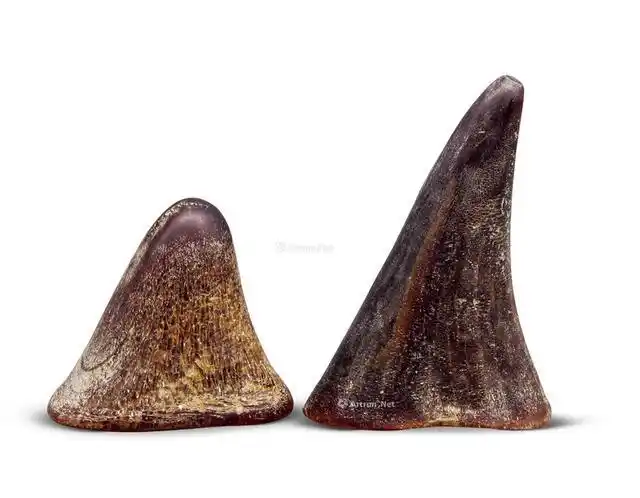 犀牛角鉴定(犀牛角鉴定拍卖)