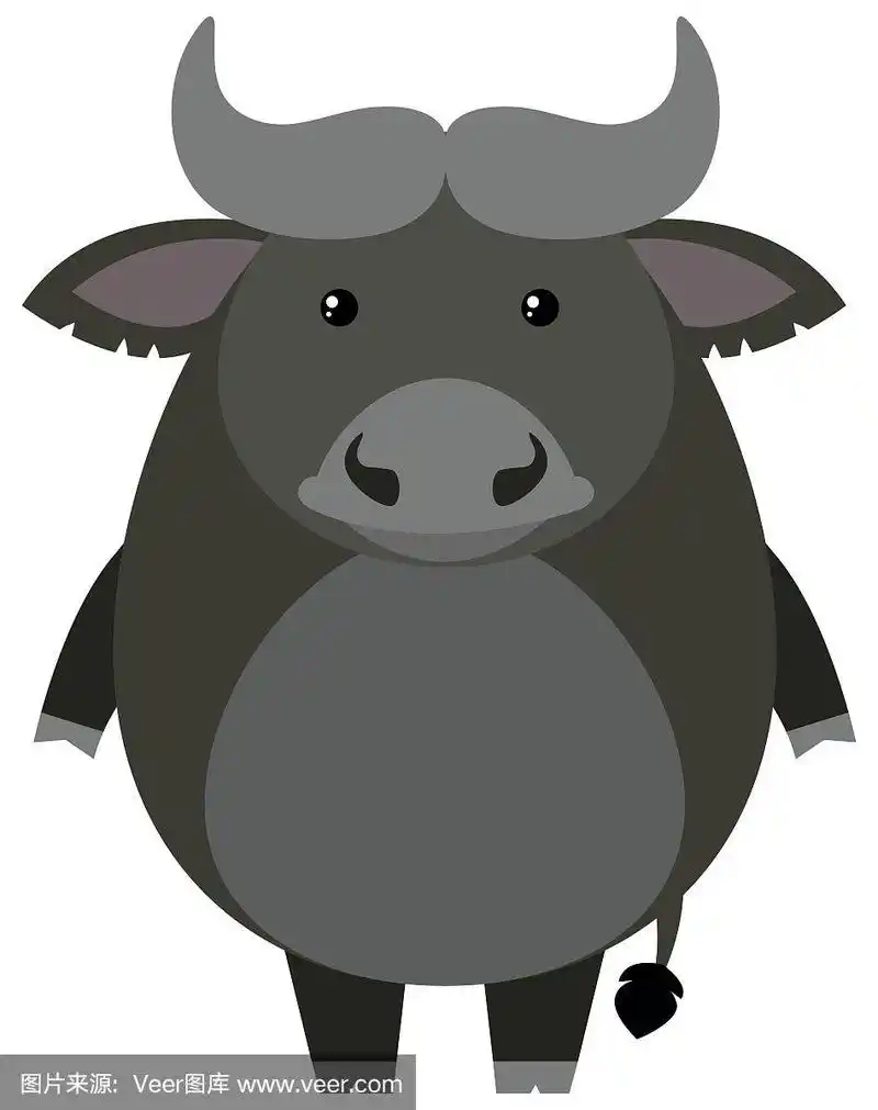 可爱的水牛在白色的背景