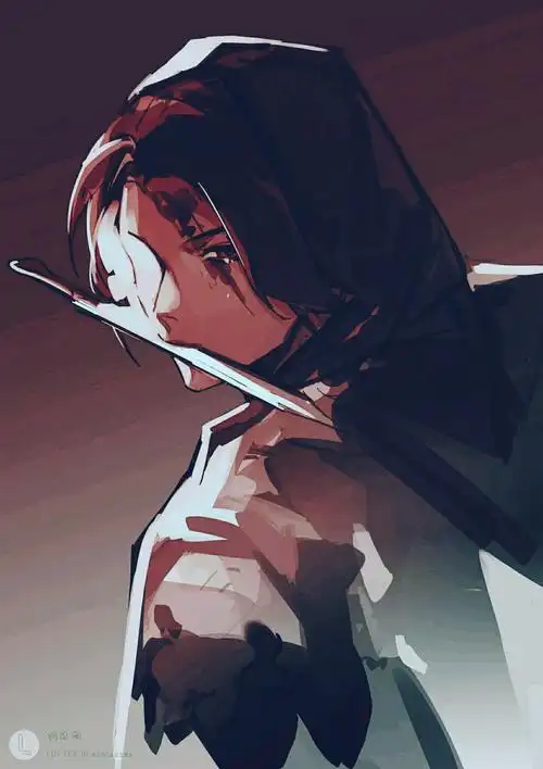 刺客的使命是在黑暗处保护他重要.