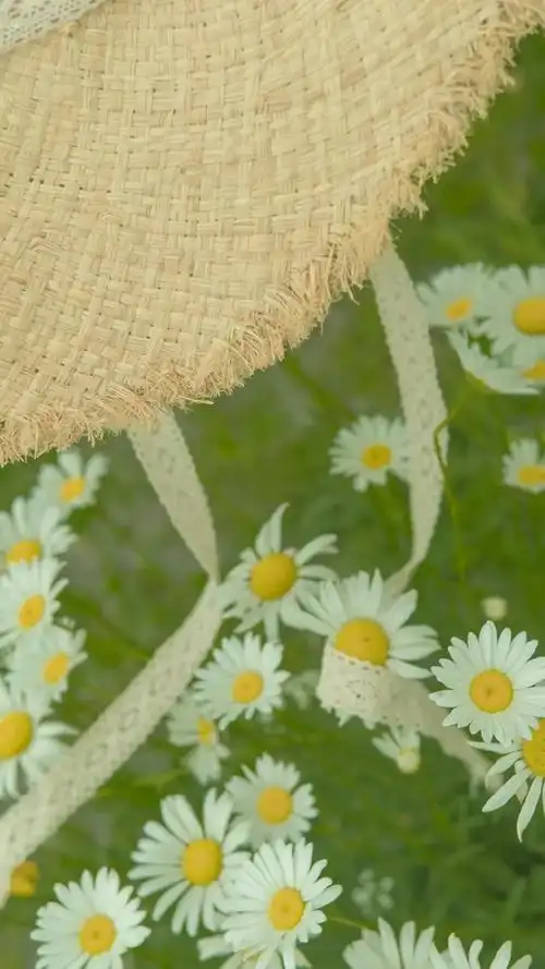 绿绿绿绿绿绿绿色系壁纸