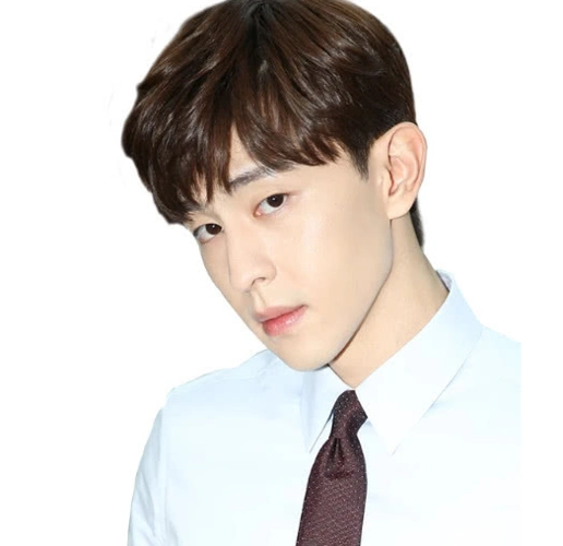 有种证件照叫邓伦霸气中带暖粉丝够我爱一辈子