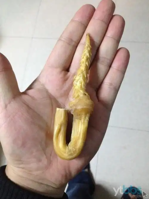 出个稀有货.大猫鞭.