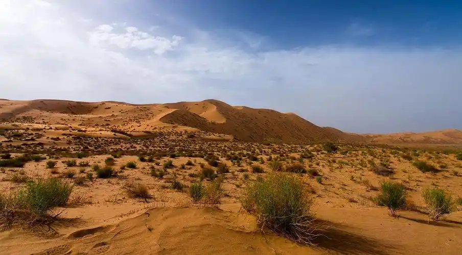 惊险穿越"死亡之海" 勇闯千里无人区 这样的勇者之路你敢挑战么?