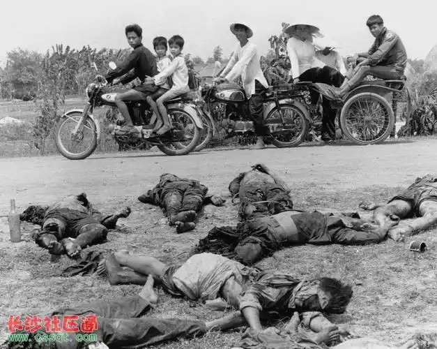 越南战争残酷的真实影像