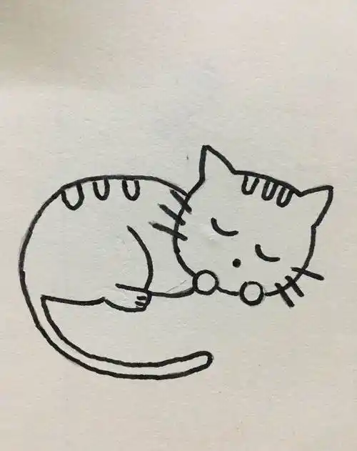 猫咪简笔画 猫咪简笔画可爱 - 水彩迷