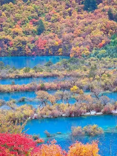 推荐国内十大秋天不容错过的美景