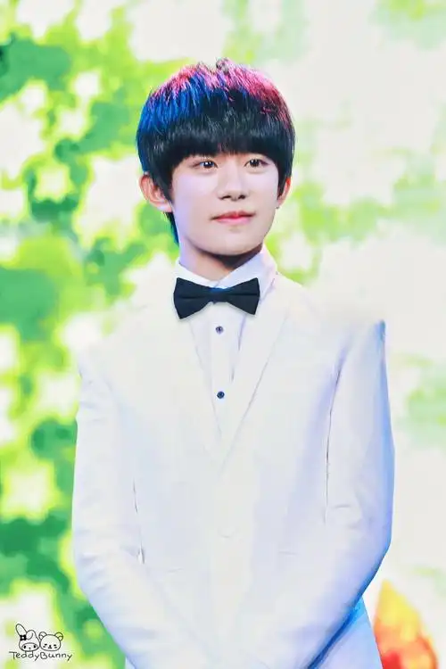 易烊千玺,2000年11月28日出生于湖南省怀化市,中国内地男歌手,演员