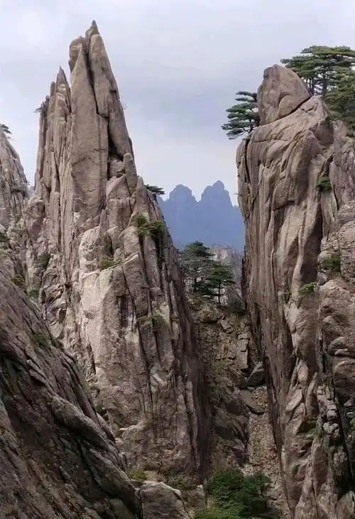 它以壮丽的山峰,奇特的石笋,秀丽的云海而闻名于世