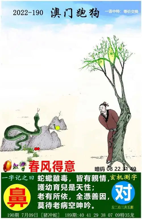 2022年澳门正版资料大全完整版,2022年澳门正版资料大全记录,2022澳门