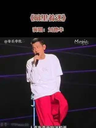 刘德华的演唱会现场,今日热烈开唱!