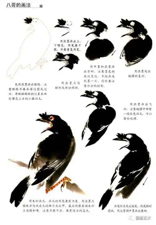图文教程:几种常见禽鸟的写意画法