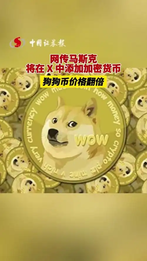 4月哪天是狗狗币 - 抖音