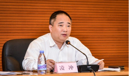 深圳市委组织部副部长,市两新组织党工委书记(唐桂阳