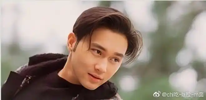 太无聊了 建一个张智霖"帅"图集锦