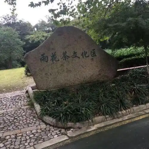 雨花茶文化区