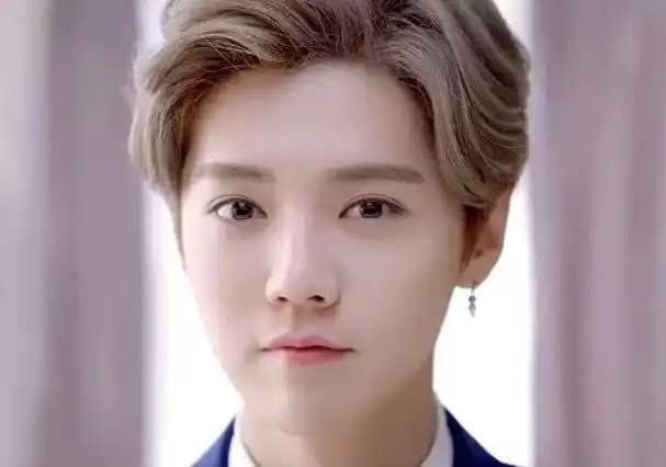 鹿晗的家庭背景成为人们猜测的焦点,但他的个人努力才是他成功的关键.