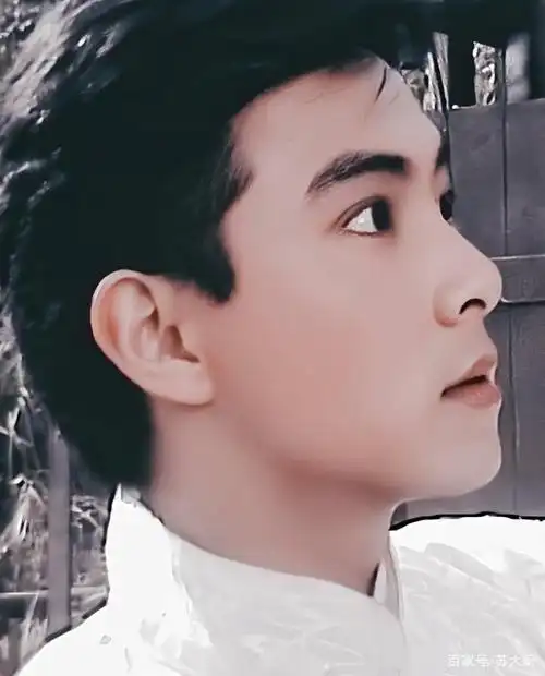 来看看娱乐圈里年轻时颜值超高的五位男明星