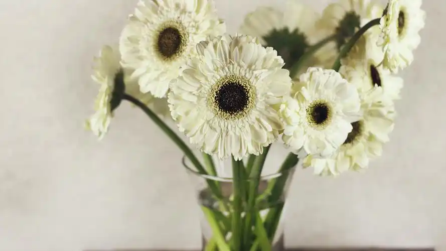 静物写真壁纸【49】(小清新静态壁纸) - 静态壁纸下载 - 元气壁纸