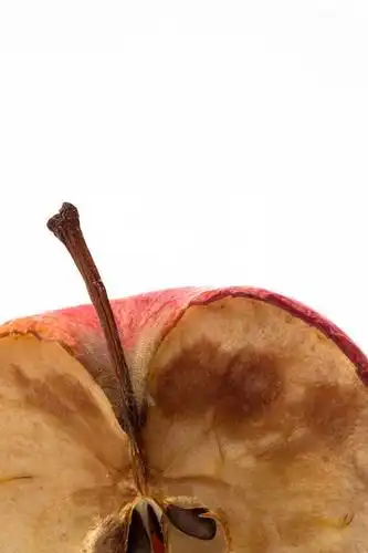 影棚,腐烂,剖面,切面,腐败,腐臭,腐朽,彩图,影棚拍摄,拍545_819竖版