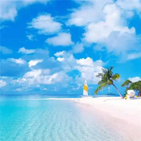 高清能带来好运的微信头像大全2021图片