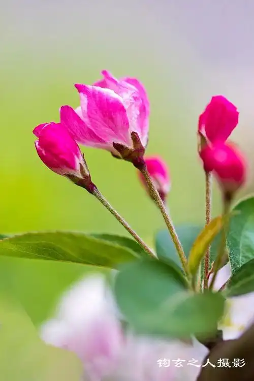 640_960竖版 竖屏