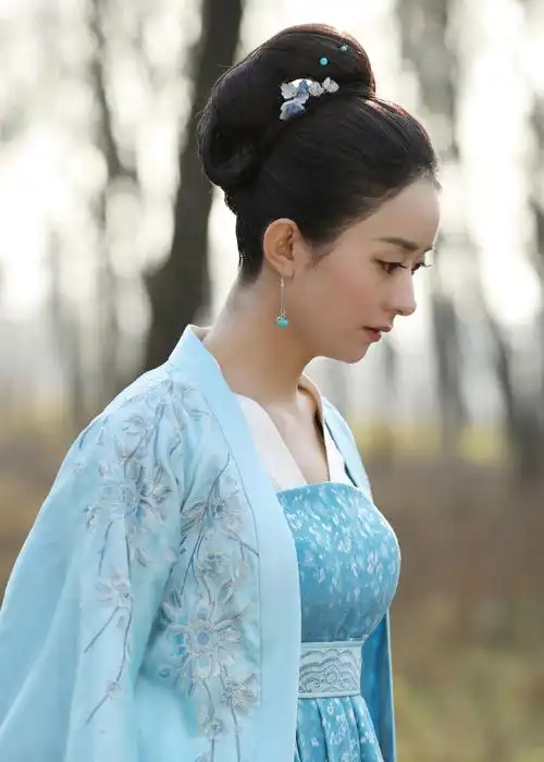 #赵丽颖盛明兰##电视剧知否知否应是绿肥红瘦#