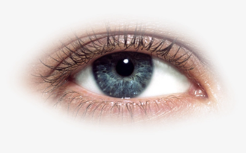 真人眼睛免扣素材