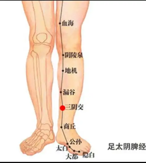 春天灸这些穴位让你面若桃花