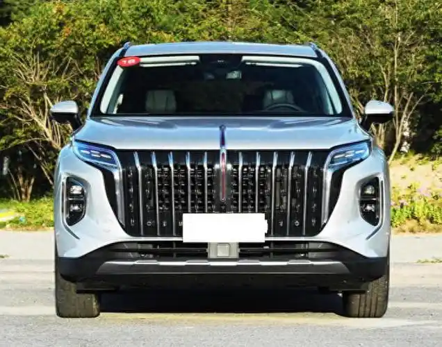 每个品牌都需要一款拿得出手的实力车型,而红旗hs7无疑是中大型suv