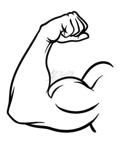 第五步:最后在整个手臂上添加一些曲线,以增加手臂肌肉的结实感.