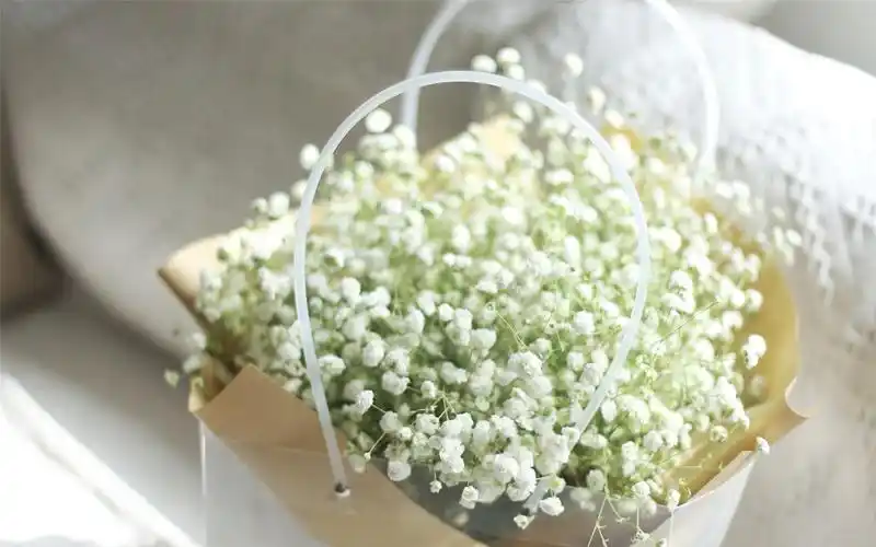 漂亮的满天星高清桌面壁纸