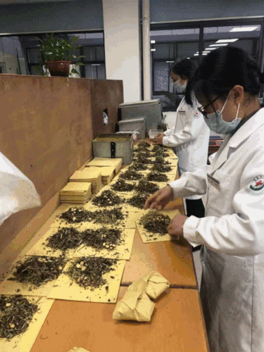 贵州农业职业学院特色专业介绍——中药制药技术