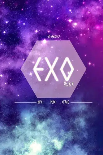 求这张exo的标志的高清手机壁纸