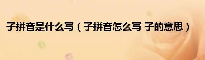 子拼音是什么写子拼音怎么写子的意思