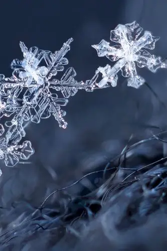 冰晶,雪花,冬天 750x1334 iphone 8/7/6/6s 壁纸,图片,背景,照片