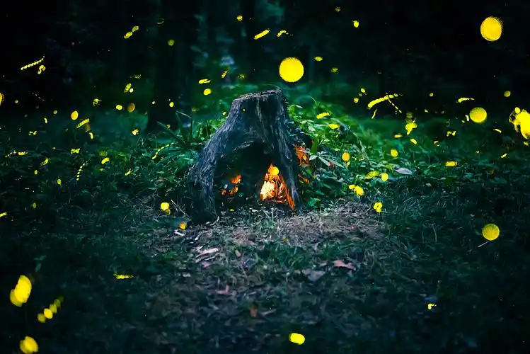 青茏连横向晚晴,灵谷月夜拍流萤