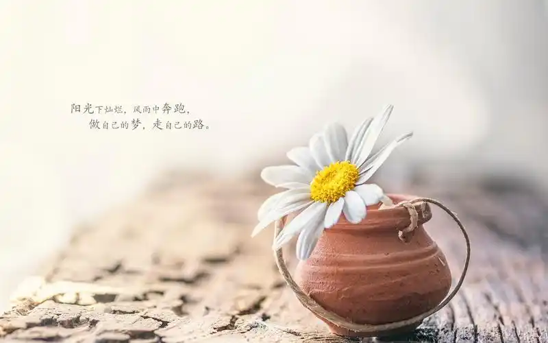 早安心语正能量激励句子图片,非主流-回车桌面