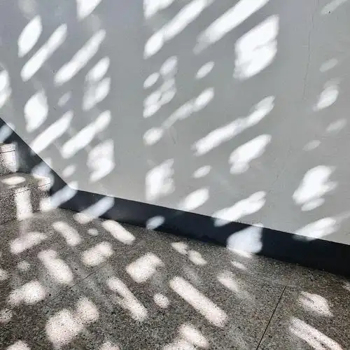 下午三点去别的单位开会,看见这个窗户和光影太喜欢了,连忙咔咔了几张