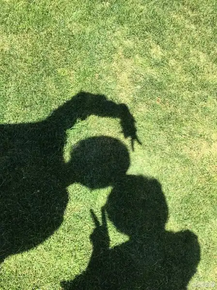 两人用影子比手势.