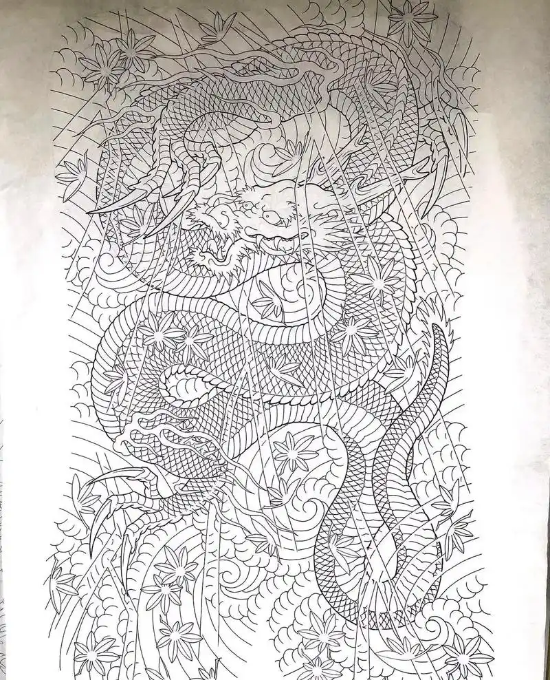 老传统常见题材满背线稿参考素材 1.龙 2.虎 3.鲤鱼 4