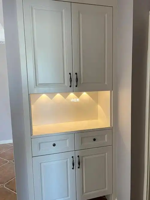 人体感应准备再买一个放鞋柜底层的位置真的好看啊#入户鞋柜  #灯带