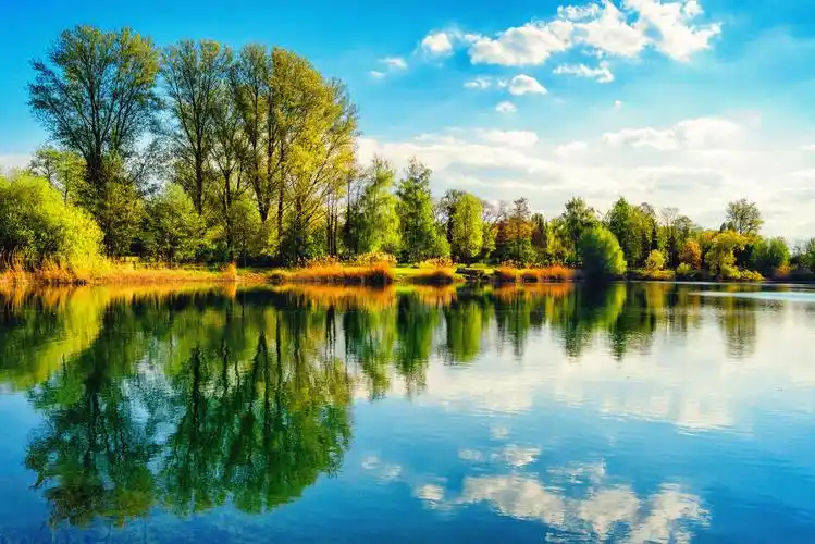 宁静的风景与充满活力的天空白云和树木对称地反射在纯净的蓝色水中